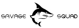 Custom Software Development Firm